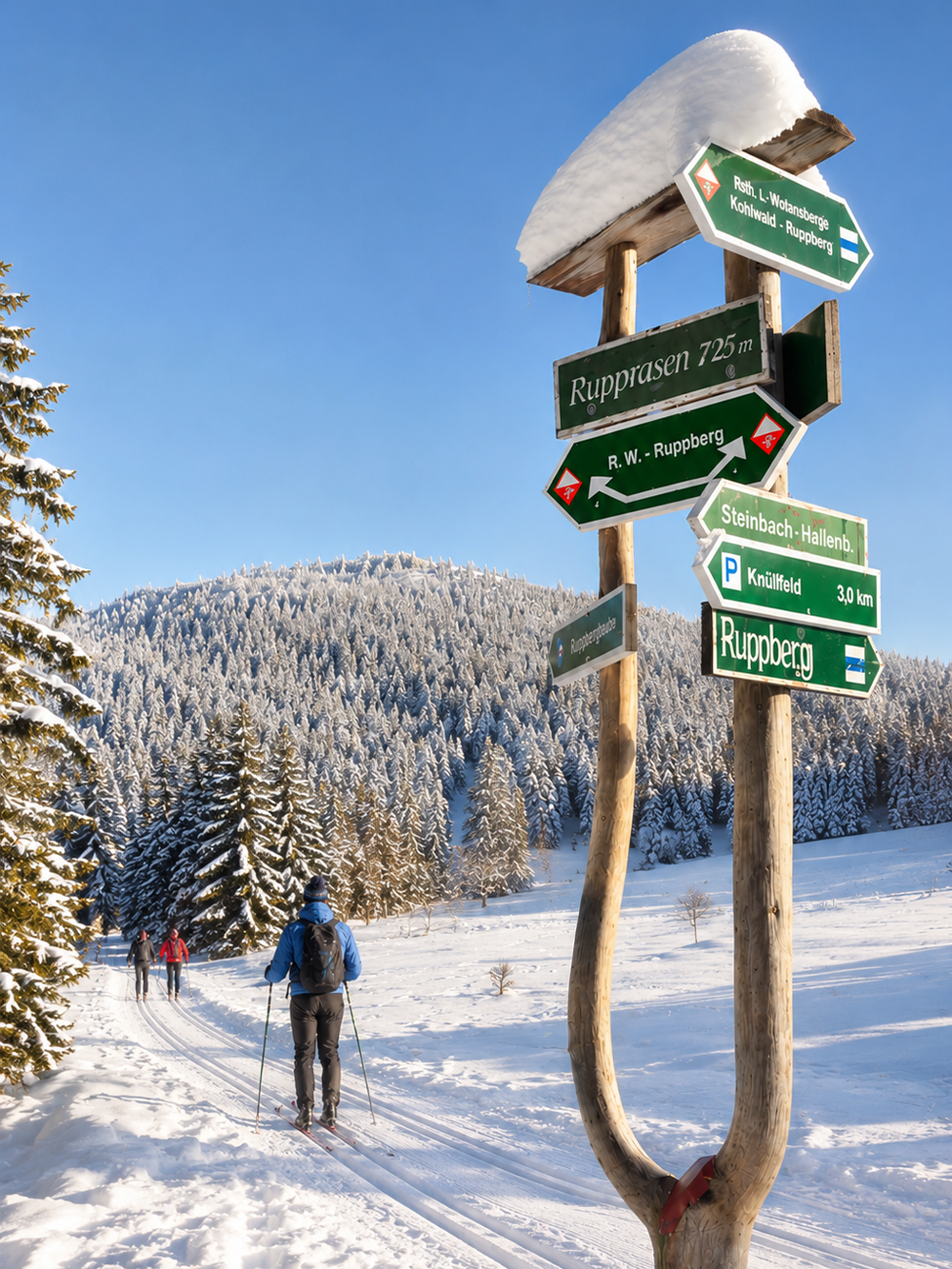 Langlauf in der Nähe des Gruppenhaus Kanzlersgrund im Thüringer Wald