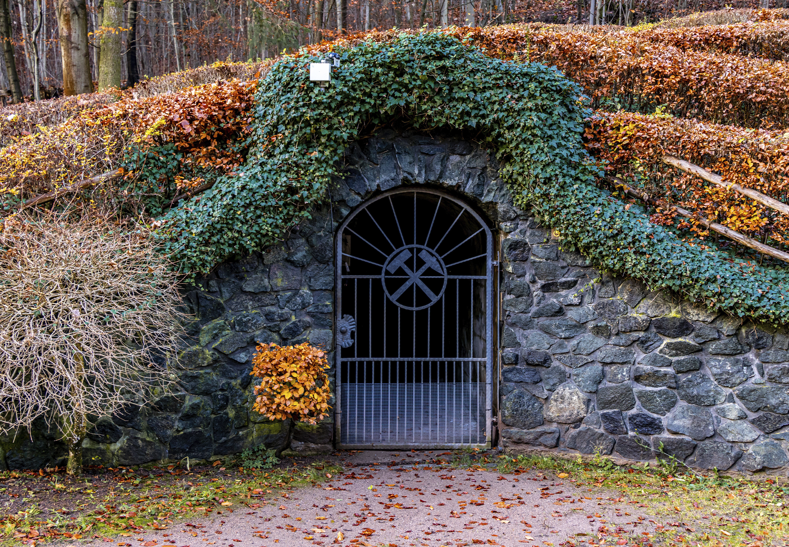 Webseite_bergwerk Besucherbergwerk Finstertal