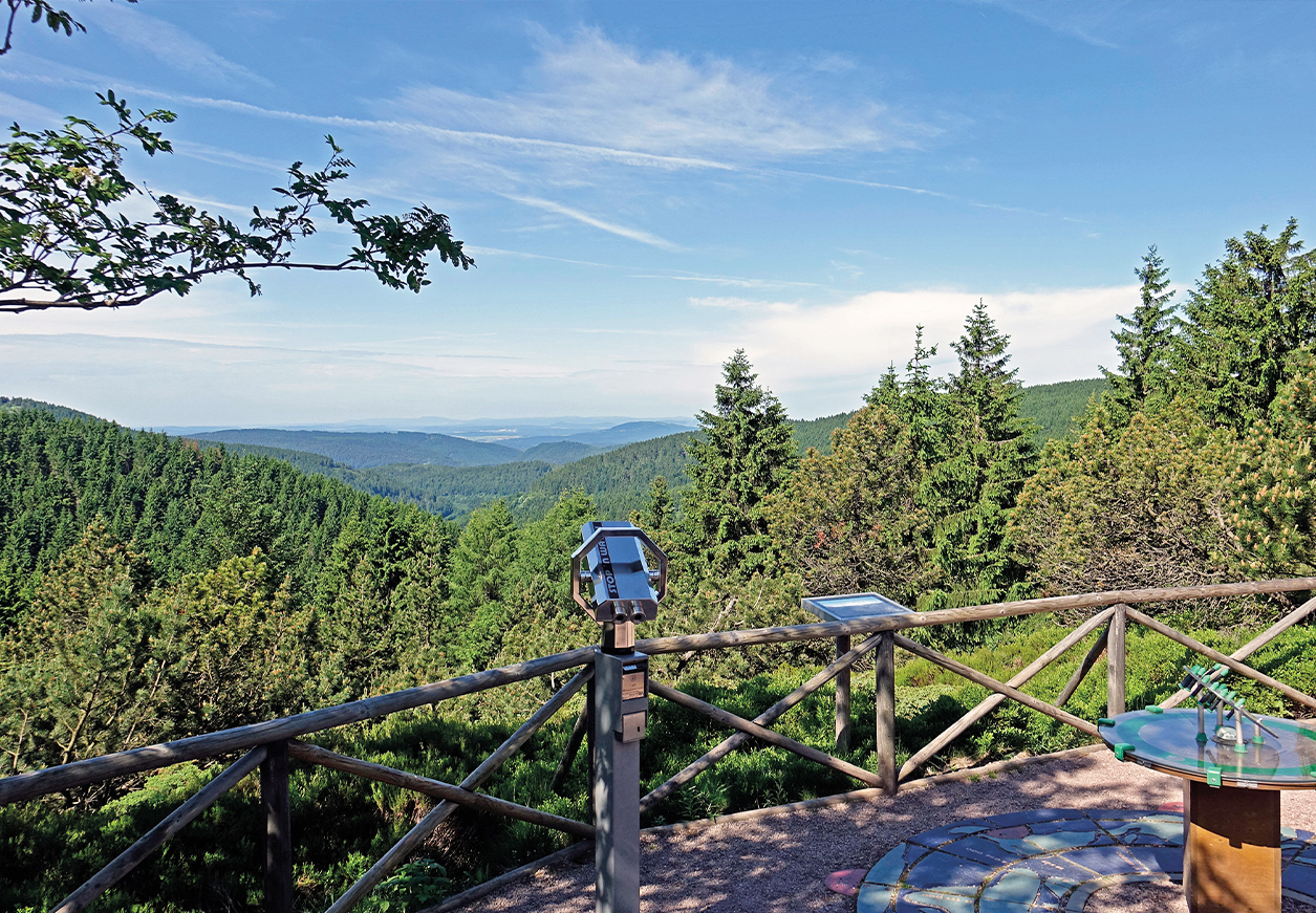 Webseite_rennsteiggarten Rennsteiggarten Oberhof