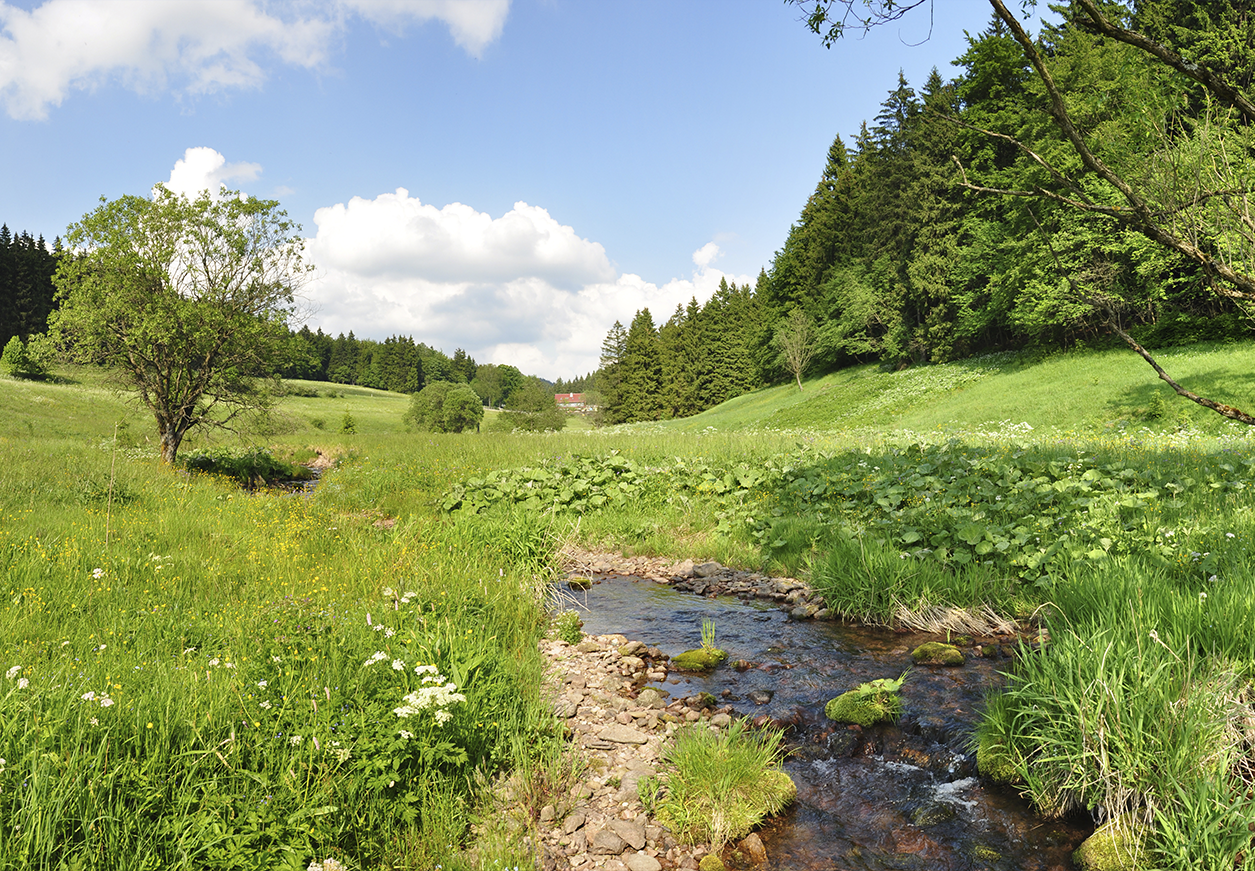 Webseite_wander_kanzlersgrund_2 Wandern und Natur im Kanzlersgrund